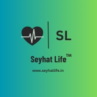 Seyhat Life logo - Similar company to Electronev