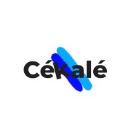 Cékalé logo - Similar company to Mega Social Foundation