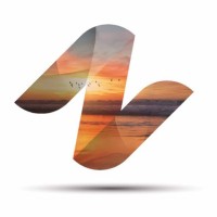 Nesvitae C.A logo - Similar company to K Soft Solution