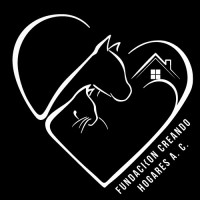 Fundación Cielo Creando Hogares A.C. logo - Similar company to Fundación Para El Desarrollo Humano Sostenible Y La Educación De Calidad, I.A.P.