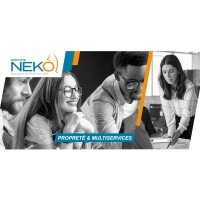 Groupe NEKO logo - Similar company to Net Service
