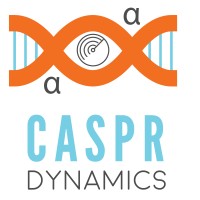 CASPR Dynamics logo - Similar company to Workbox