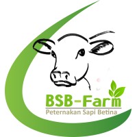 BSB Farm logo - Similar company to Damar Group