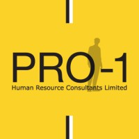 Pro-1 HR Consultants Ltd logo - Similar company to Pro 1 Laser