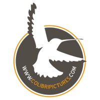 COLIBRI PICTURES logo - Similar company to My Finance
