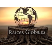 Fundación Raíces Globales logo - Similar company to Fundación Génesis
