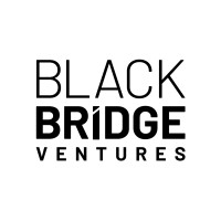Black Bridge Ventures logo - Similar company to Arnson Solutions