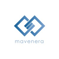MavenEra Consulting logo - Similar company to Risosu Technology