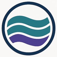Conduit Government Relations logo - Similar company to Mta Visions Global Corporate Social Responsibility And Government Relations