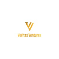 Veritas Ventures Global logo - Similar company to Redboxme In Collaboration With Cartier