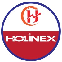 Holinex Digital logo - Similar company to Rising Plus