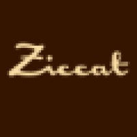 ZICCAT srl logo - Similar company to Peak Top View