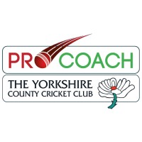Pro Coach -International Cricket Summer School logo - Similar company to Flicx Uk