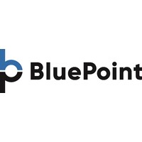 BluePoint Controls, Inc. logo - Similar company to Bluepoint