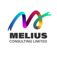 Melius Consulting logo - Similar company to Intelli Norge As