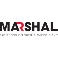 Marshal Systems Private Limited logo - Similar company to Tanasog