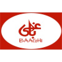 Baaghi Tv, Pakistan