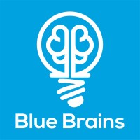 Blue Brains logo - Similar company to Qodeex