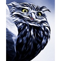 The Secret Owl Company logo - Similar company to Kleercard