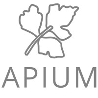 Apium logo - Similar company to Azap