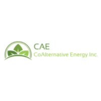 CoAlternative Energy Ltd logo - Similar company to Boxvn Ltd