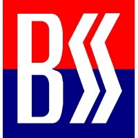 BSS Executive Search & Contract Personnel logo - Similar company to Bss Recruitment