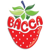 Bacca Valley logo - Similar company to Competent People Solutions