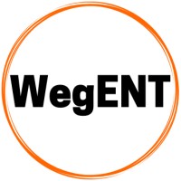 Wegryn Enterprises logo - Similar company to Lynx Franchising Llc