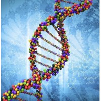 Early Detection logo - Similar company to P & R Genomics