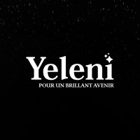 YELENI logo - Similar company to Ninetec Niger