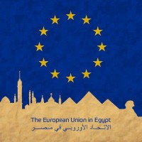 The EU Delegation to Egypt logo - Similar company to Tereee