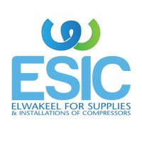 ESIC Co. logo - Similar company to Eic Systems
