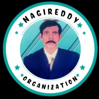 Nagireddy_Organization logo - Similar company to Adaptive Infotech