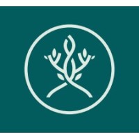 Bristlemoon Capital logo - Similar company to Mdf Alaska