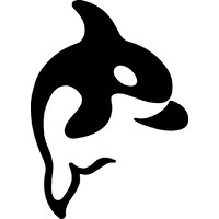 Orca Capital logo - Similar company to Weill Consulting Services Llc