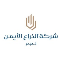 right arm CO logo - Similar company to N&N Engineering Consulting