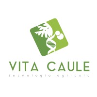 Vita Caule logo - Similar company to Cx Asset Management