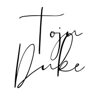 Toju Duke Advisory logo - Similar company to Diverse Ai