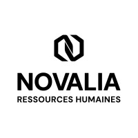 Novalia Ressources Humaines logo - Similar company to Perle Placement