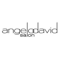 Angelo David Salon logo - Similar company to Interlocks