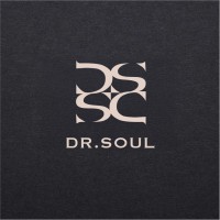 Dr.Soul Academy logo - Similar company to Zeppelin Inc.