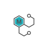 MindScope Digital logo - Similar company to Mindscope