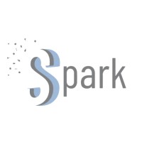 Spark Solutions • Software Developers logo - Similar company to Raqmya | رقمية