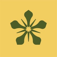 Meraviso logo - Similar company to Artdisk | Design & Comunicazione Fluida