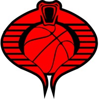 Basketball Villains logo - Similar company to Condron Media