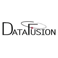 DataFusion logo - Similar company to Datafusion-Partners