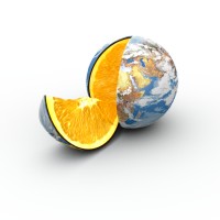 ProActive Risk Management Inc logo - Similar company to Proactive Conseil