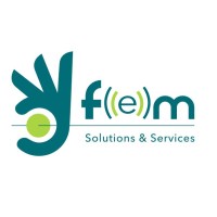 FEM Solutions & Services logo - Similar company to Mei Services