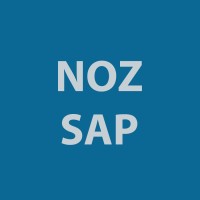 NOZ Consulting LLC logo - Similar company to Dempsey Companies