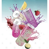 Brio Beverages logo - Similar company to Brigade Packaging